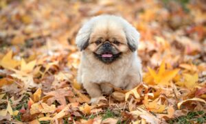 ブラック企業からの退職に関するリアルな体験談は？