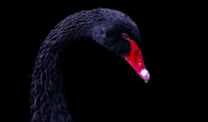 ブラック企業から逃げるべきか、どう判断すれば良い？