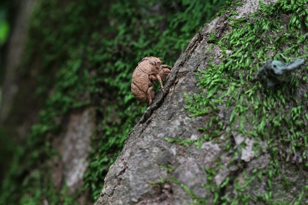 退職届と願の違いを知っておくべき理由は？