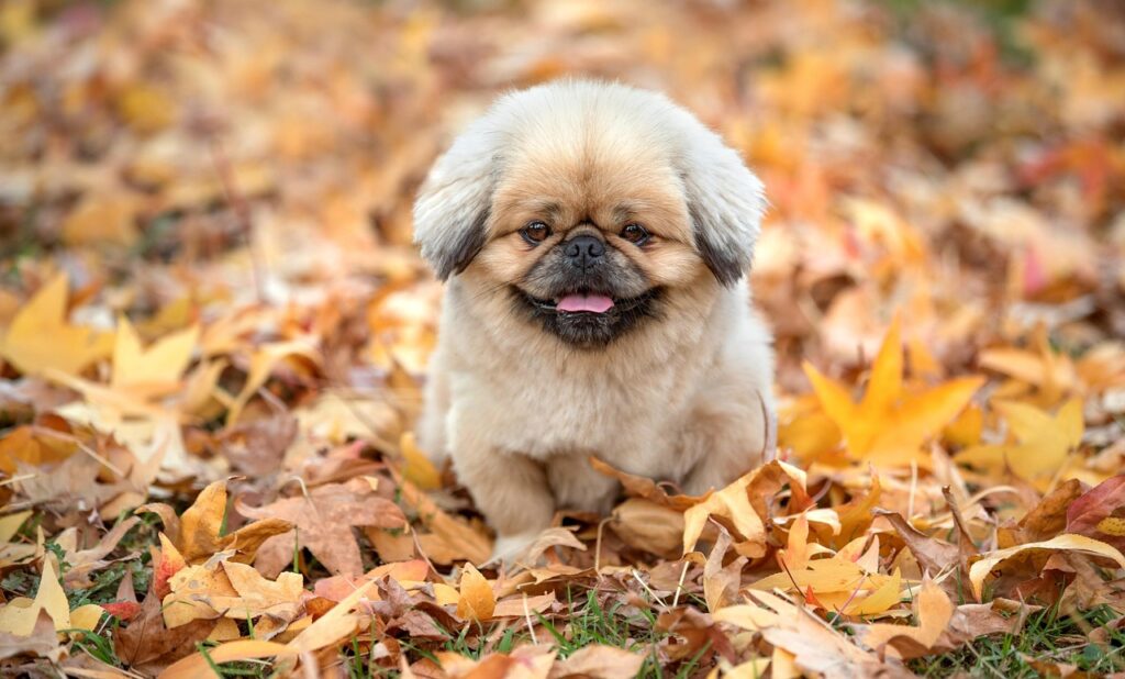 仕事辞めたいと思うのは甘えなのか、それとも本当の理由なのか？