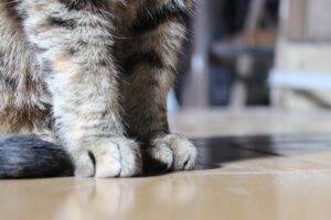 退職相談は誰にすれば良いのか？