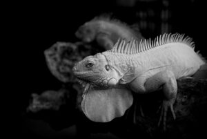 何かを辞める勇気を持つために必要なステップは？