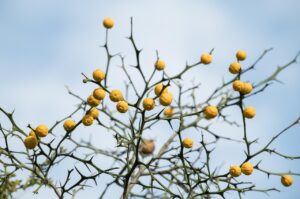 退職した後に裏切りと怒られる理由とは？