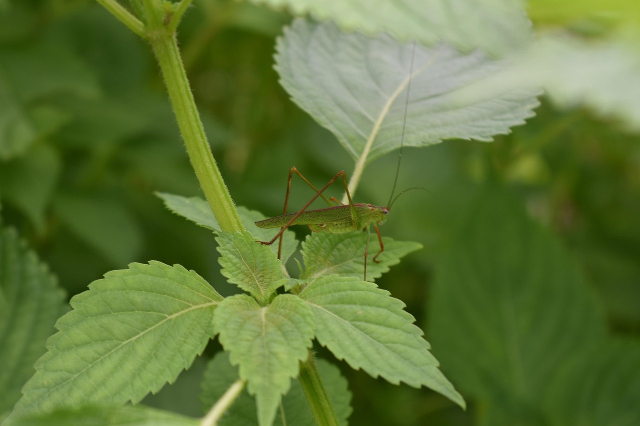 パワハラの証拠を残し方と退職の手続きについて知っておくべきことは？