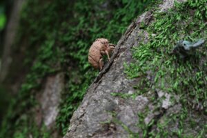 円満退職のための引き継ぎで押さえておくべきポイントは？