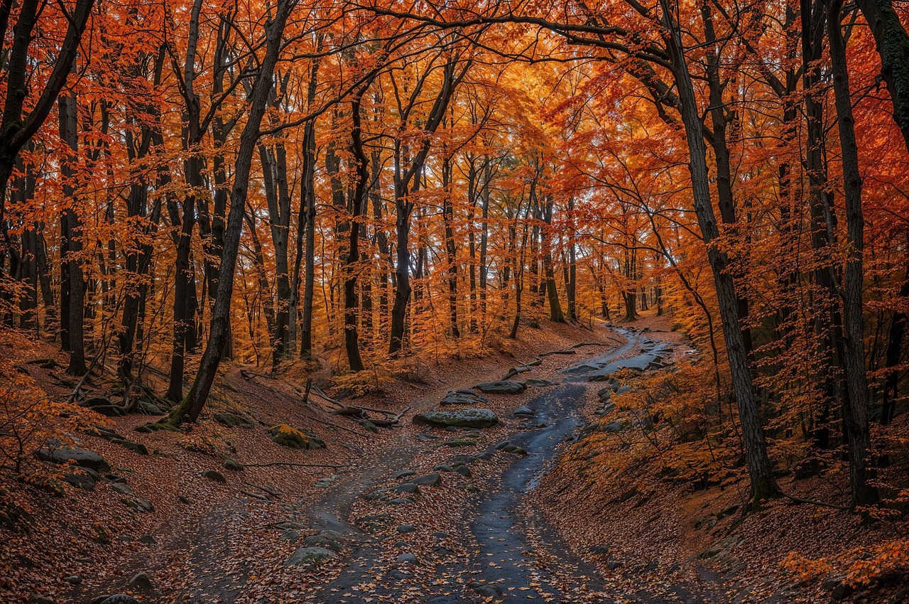 転職エージェントに応募して断られる理由とは？