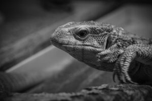 転職相談をすると転職が早く進む理由とは？