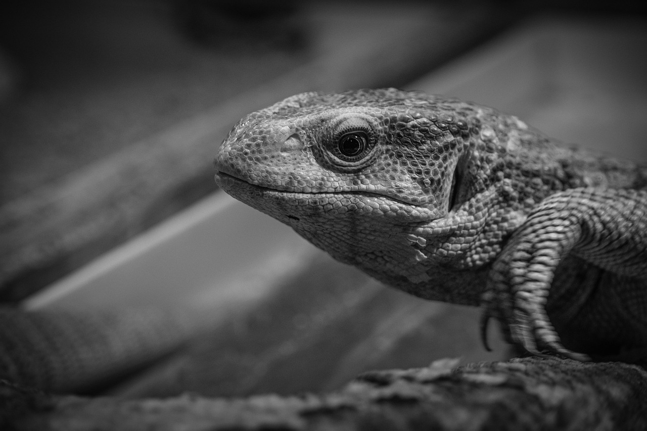 転職相談をすると転職が早く進む理由とは？