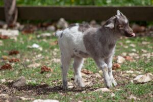 仕事を辞める勇気をどう出すかのヒントは？